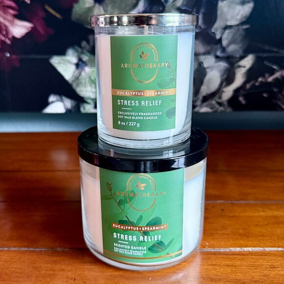 NEW 2-Pc AROMATHERAPY ECALYPTUS SPEARMINT 3-Wick Candle & Single Wick Candle BBW - Picture 1 of 4